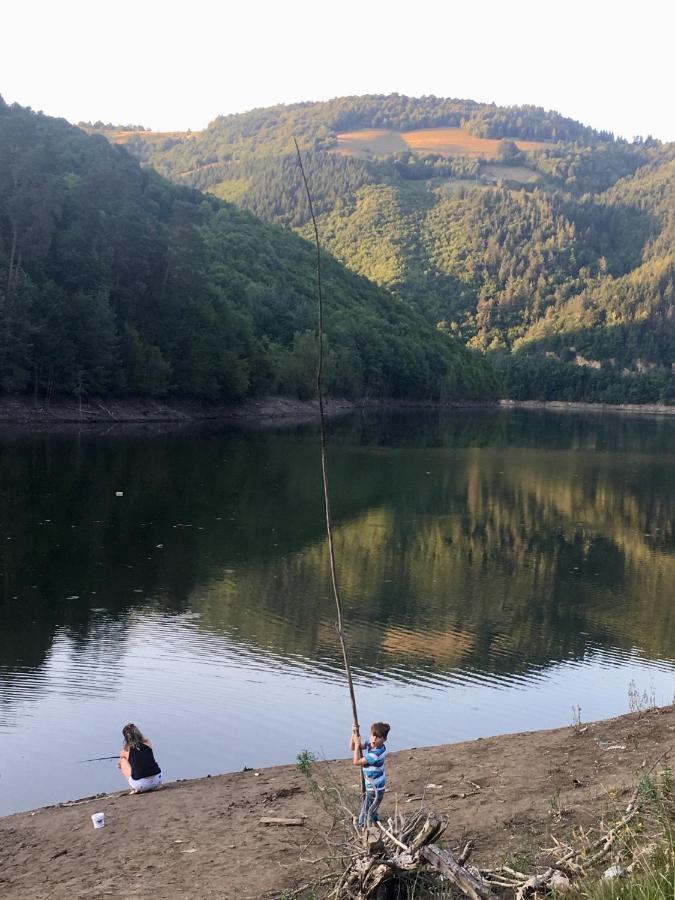 Cabana Baraj Apuseni Mountains Mihoesti エクステリア 写真