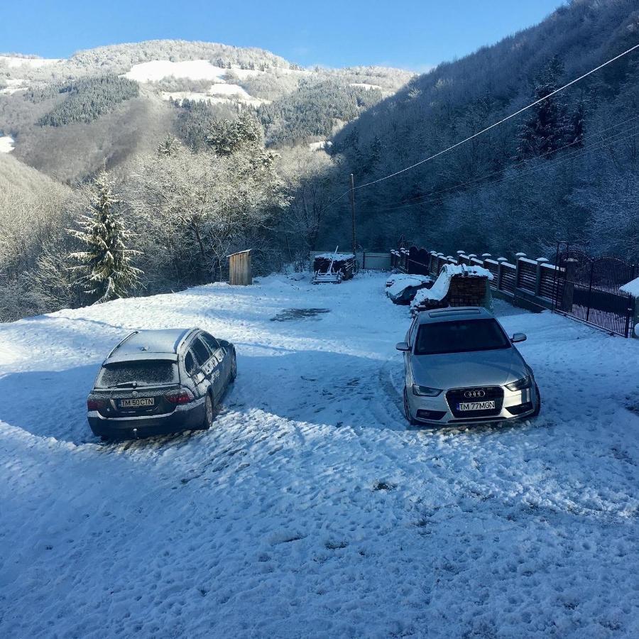 Cabana Baraj Apuseni Mountains Mihoesti エクステリア 写真