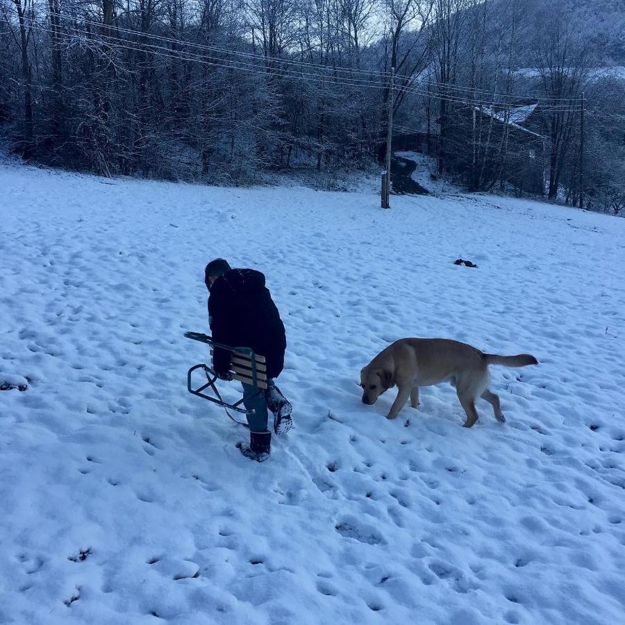 Cabana Baraj Apuseni Mountains Mihoesti エクステリア 写真