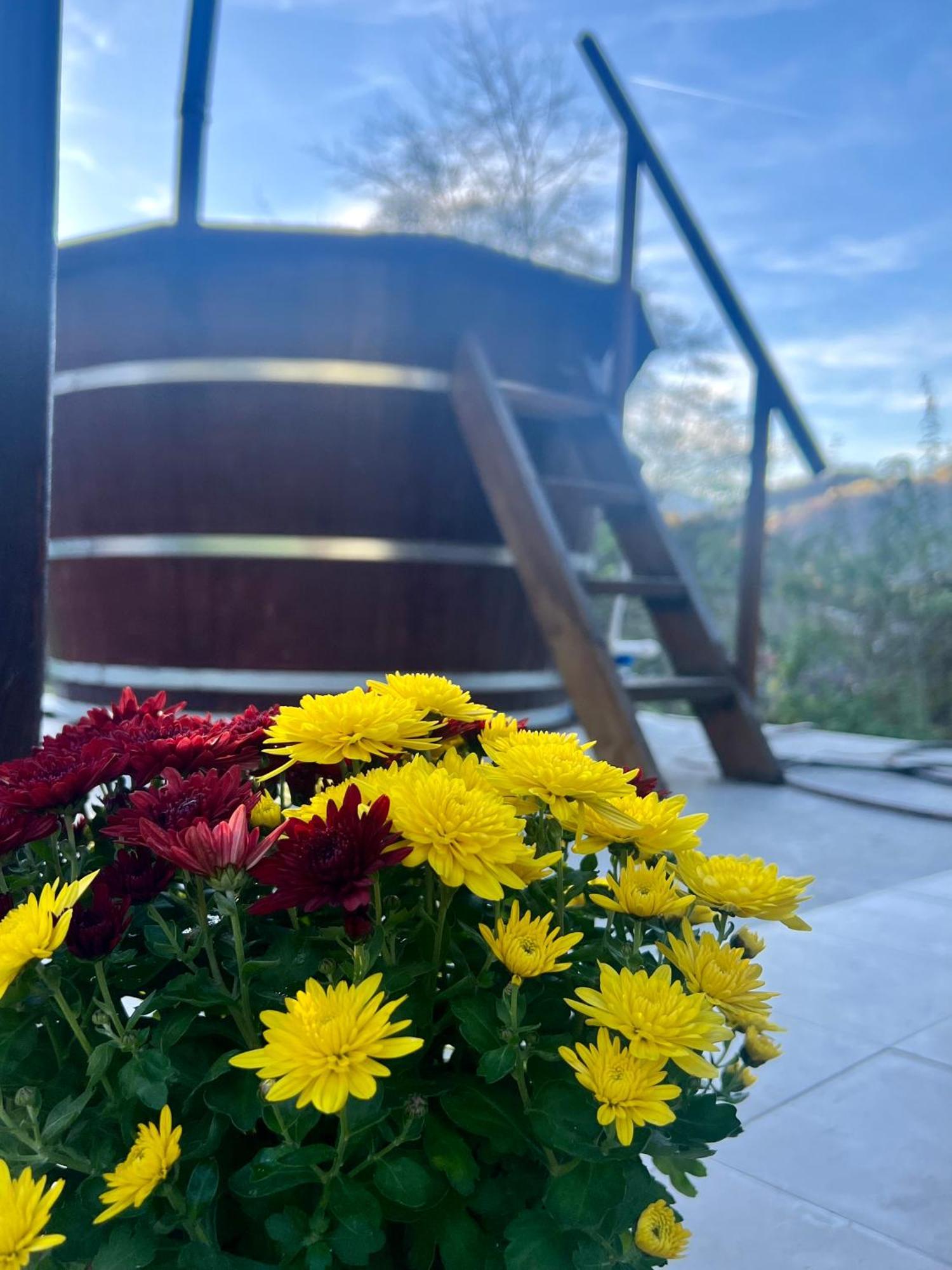Cabana Baraj Apuseni Mountains Mihoesti エクステリア 写真